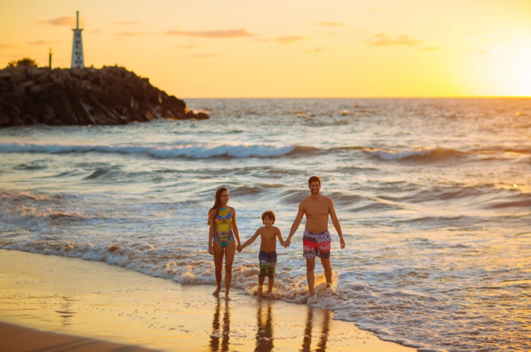24.09.2024_08.59.35_REC-768×509